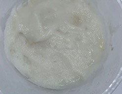 Mashed potato with RC001 0.5% at Day 20, pale appearance close to SAPP