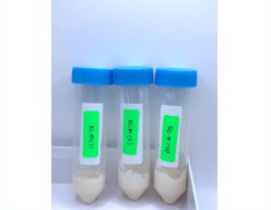 Three tubes of mayonnaise with RC001-OE at Day 21