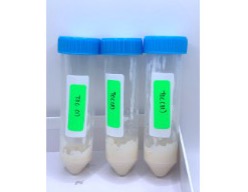 Three tubes of mayonnaise with mixed tocopherols at Day 21