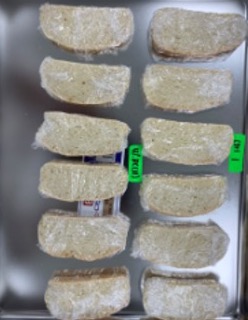 Wrapped bread samples on a tray on Day 0, with no visible mold